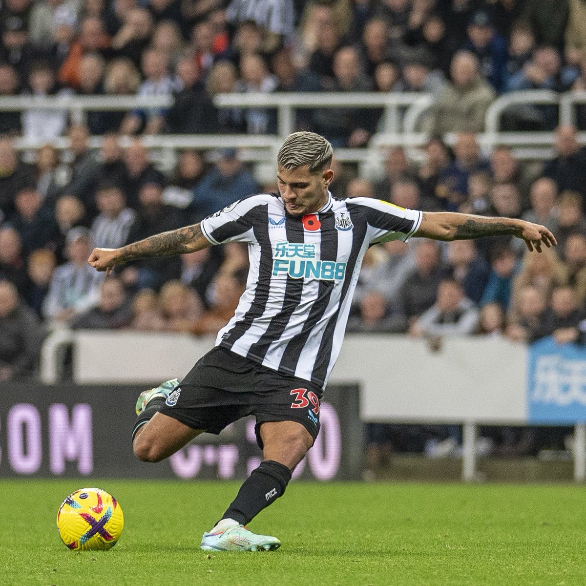brunoog97's tweet photo. Our 3️⃣9️⃣🇧🇷 @NUFC https://t.co/0Vtn5A3OXR