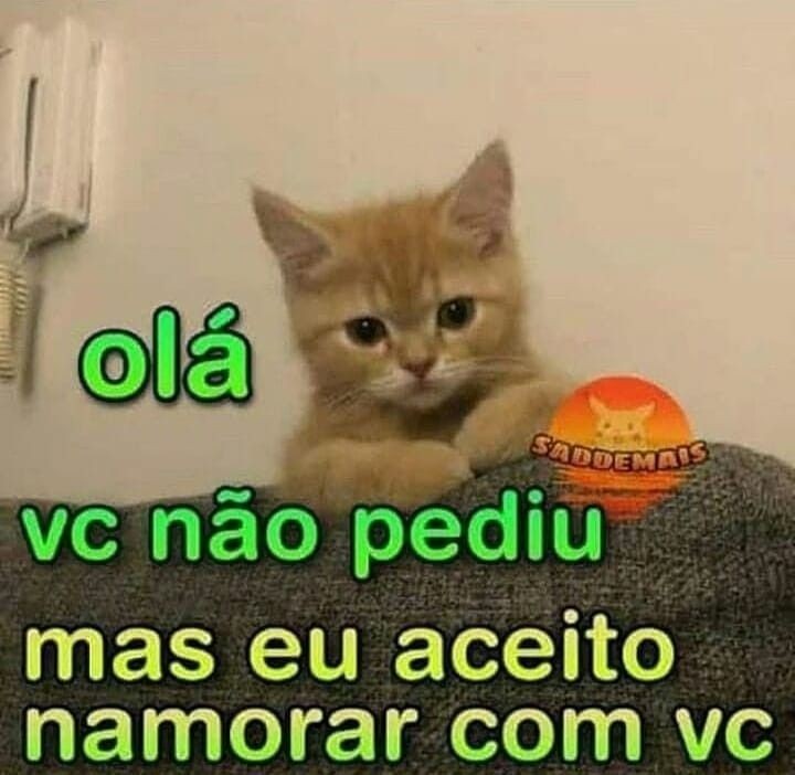 Fabrcio001A's tweet photo. https://t.co/0ab2VC7vdg