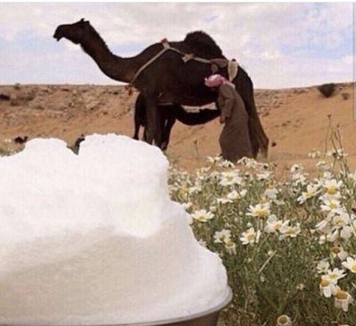 ☂️
.
.

عـن مـنـة اللـي حلالـه غـاليٍ عنـده
ضحيت من دون وجهي بأطيب نياقي
- -