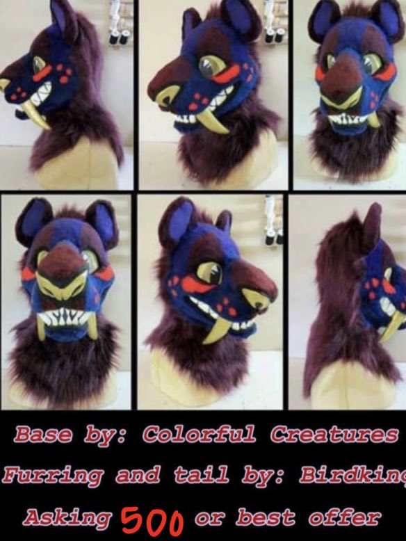 astridddragon's tweet photo. ‼️NOW LOWERED TO $500 INCLUDING SHIPPING‼️ 

Hello! im selling this Sabertooth character, suit head and tail for $500 or best offer! the base was made my colorful creations and it was furred by birdkinq! please dm me if u have any questions! https://t.co/c87yKPAVWb