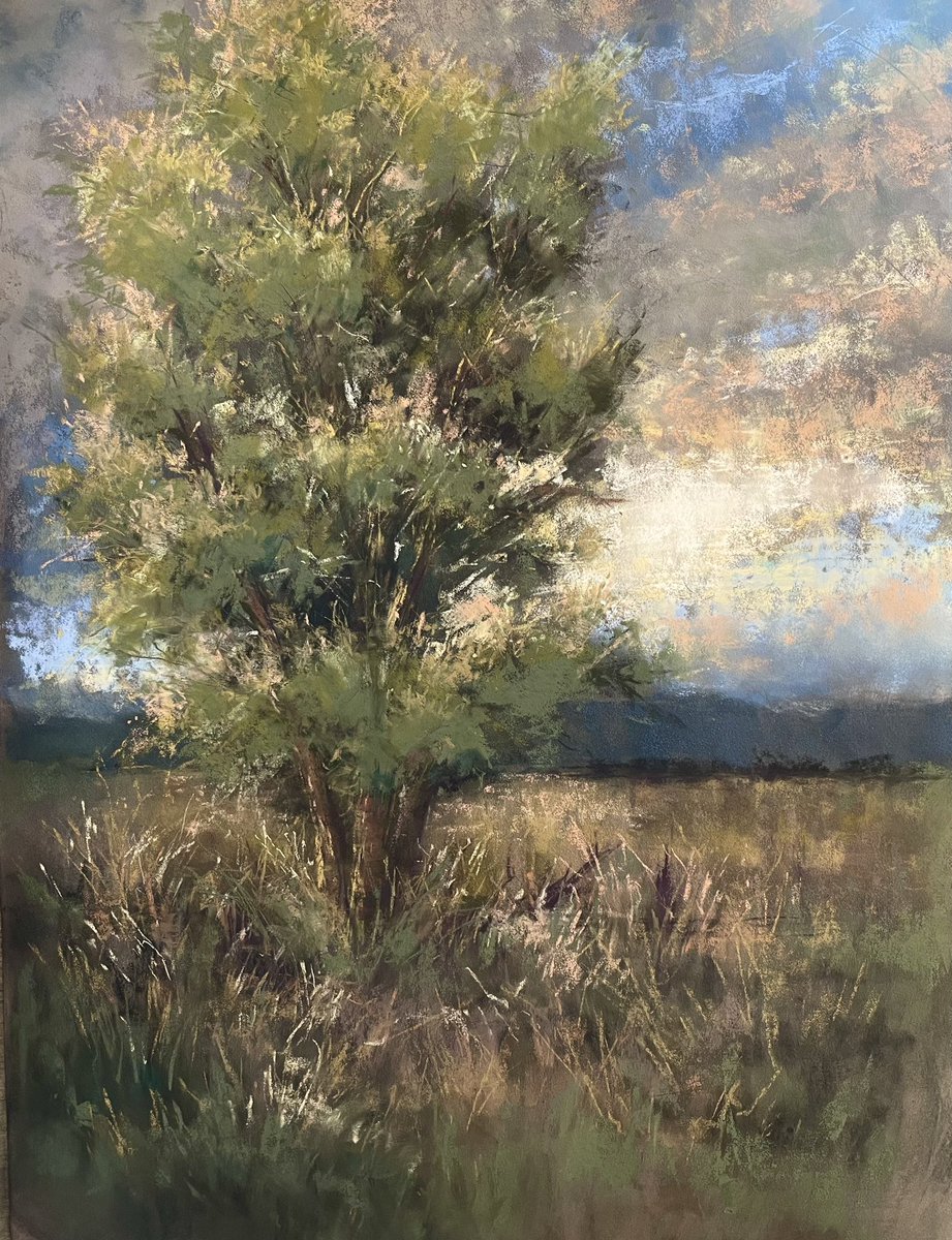 BrittaniArt's tweet photo. Latest soft pastel painting.๐
#softpastels #landscape #landscapepainting #landscapeart #pleinair #utah #art #artist #ArtistOnTwitter #Artists #artwork #painting #utahart #sunset #sunsetart #pastelpainter #landscapepainter #painter https://t.co/CdtvsnprAh