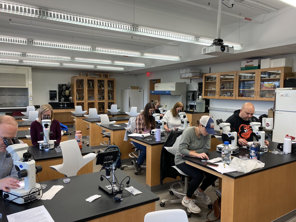 carrie_adler's tweet image. Fantastic Saturday spent with NY State Master Teachers at SUNY Cortland! Adler lab members Justin @KuangTse_wang @Isabelsscience taught these enthusiastic learners all about planarians. We capped the day off by prospecting for planarians in a local stream.