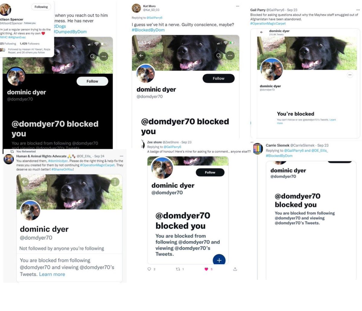 ZeeShore's tweet photo. @emeliobedelio @domdyer70 @Jerusalem_Post @BBCNews @SkyNews @Channel4News @itvnews Oh in that case why did he block anyone who asked? Why did he not support #pawsunitepeople who are actually supporting at a great cost to themselves? Donโt buy it! He dumped them on a zoom Call ffs! He could have been retweeting for #pawsunite people! Ask him why he isnโt! https://t.co/2Uav8dQmuo