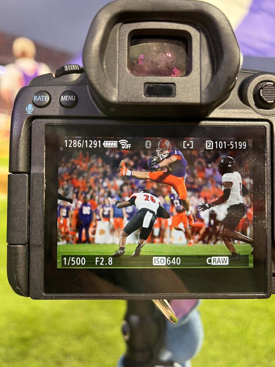 Susan Lloyd Photography tweet media