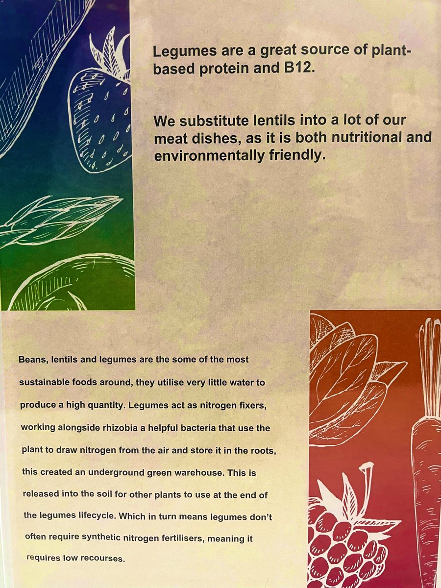 Dan Tocchini tweet media