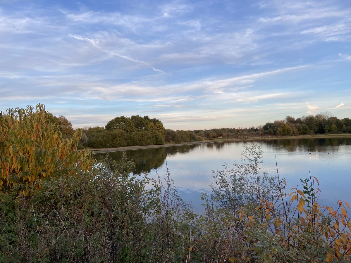 Tijdens een herfstwandeling in Mechelen komen we deze mooie gebieden voorbij om 15:10 #vrtweer