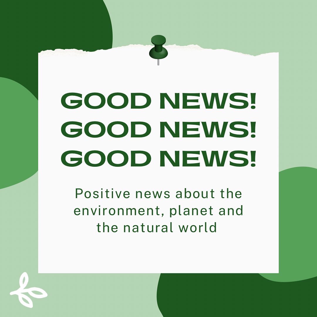 AOEarthUK's tweet photo. It is important to take time to celebrate climate victories taking place around the world!🏆🏅🌍

Remember, looking after your mental health is important and it can be beneficial to balance the content you consume!

#ambassadorsofearth #earth #youth #goodnews #climategoodnews https://t.co/M5qH03JYpJ