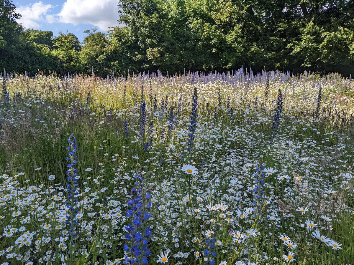 #CalderstonesPark #NatureReserve