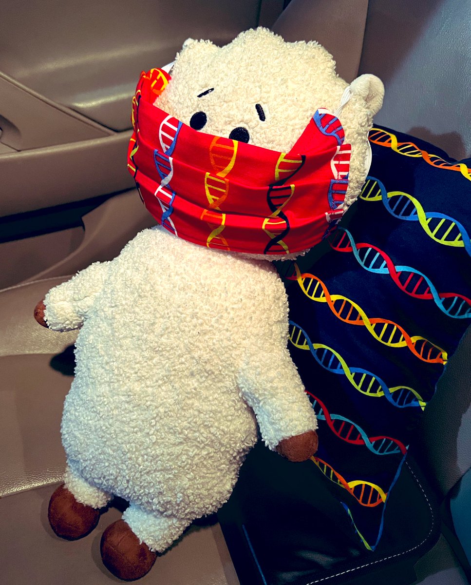 HannahAlison20's tweet photo. Hooking RJ up with some 🧬 swag
Alpacas in genetics?
#NursesInGenetics
#ISONG2022 https://t.co/qVxrXm8y2A