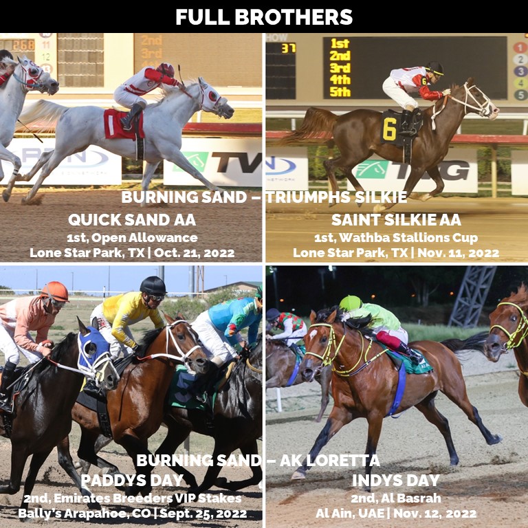 Arabian Jockey Club on Twitter "As 9yearold Quick Sand AA and 11