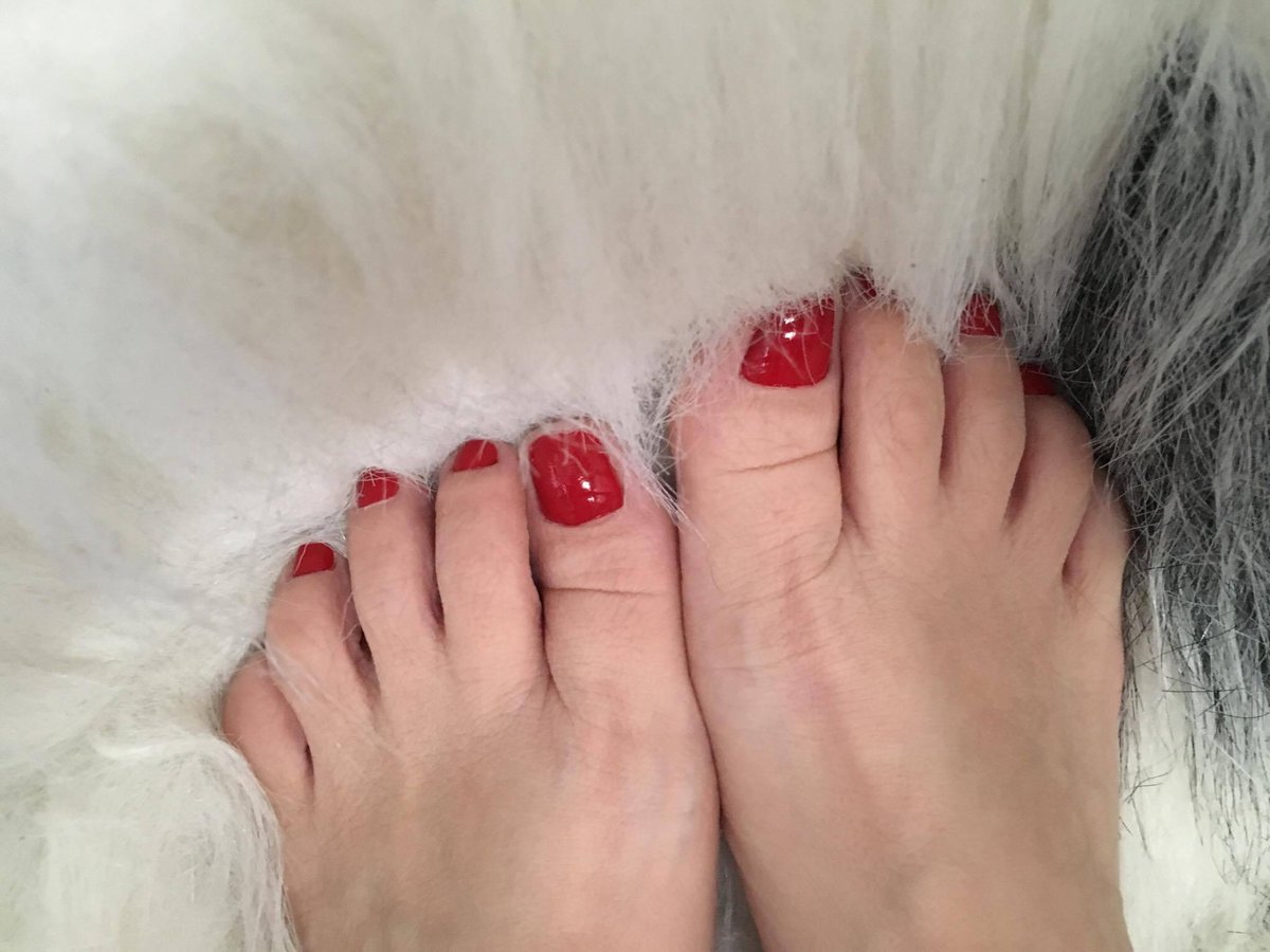 Content from sissytraining_school