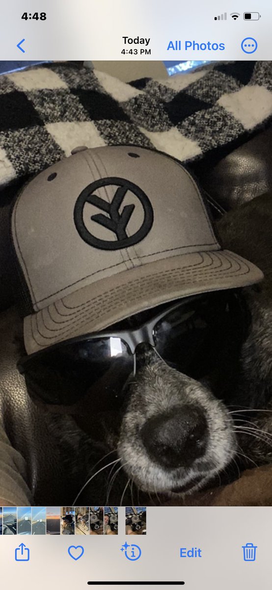 dave24_hebert's tweet photo. @YeeYeeApparel meet Ms Maggie https://t.co/bBuerI54AC