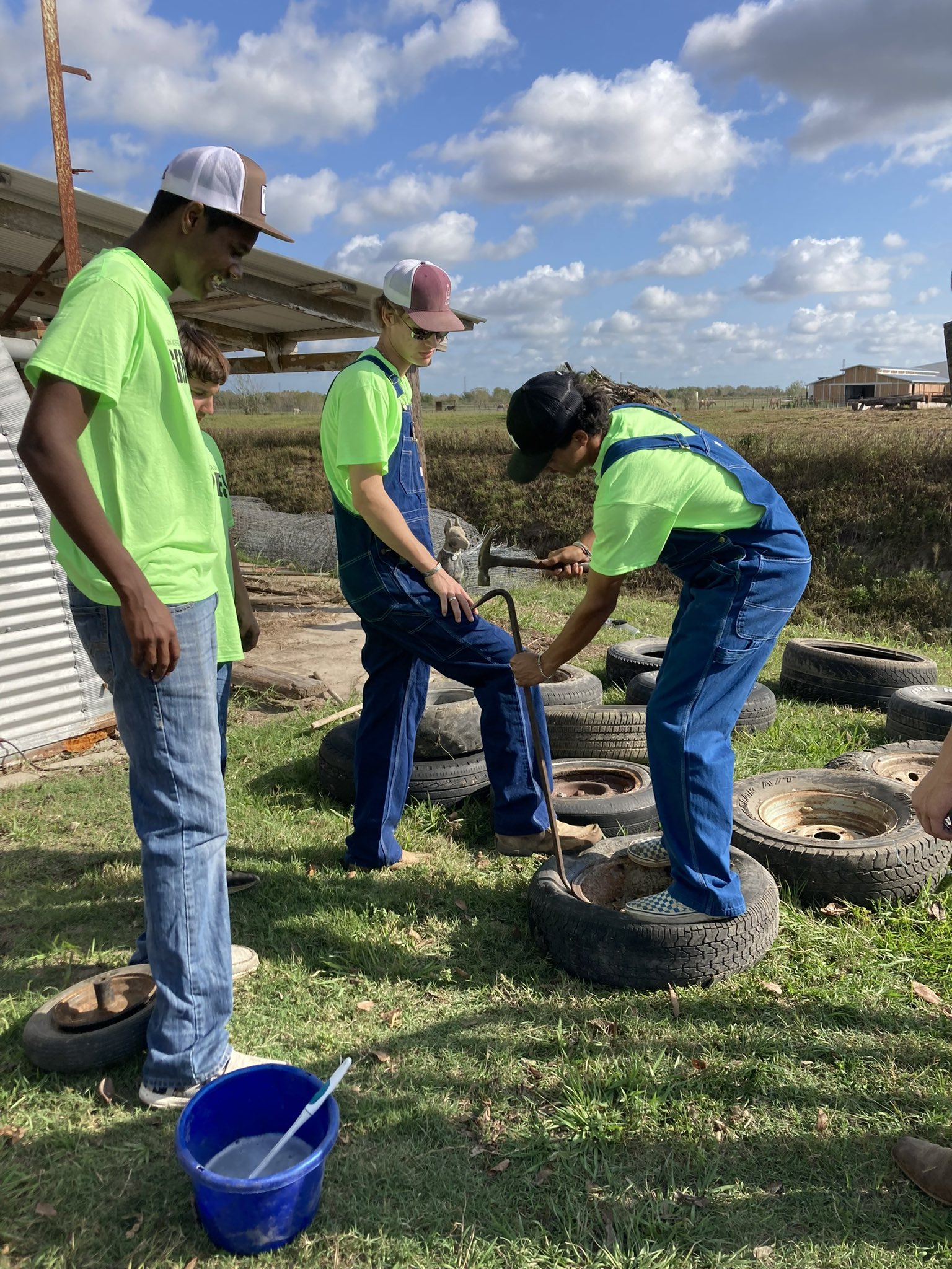 Manvel High School on Twitter "Manvel FFA takes on Habitat for Horses