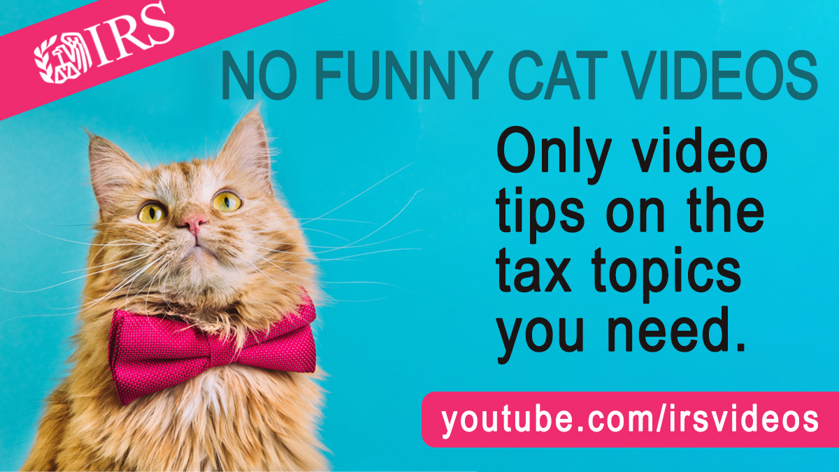 Cat in a red bow tie. Text reads: ‘NO FUNNY CAT VIDEOS. Only video tips on the tax topics you need.’ IRS logo and URL also displayed: youtube.com/IRSvideos