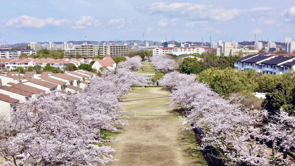 多摩ニュータウン_bot tweet media