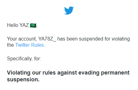 YFX3_'s tweet photo. Main got suspended for adding a Saudi flag to my name lol, we move on. This will be the main &amp; graphics account. https://t.co/smmWw9ev9b