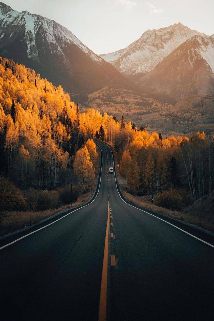 little-eccedentesiast.tumblr.com/post/697284583…