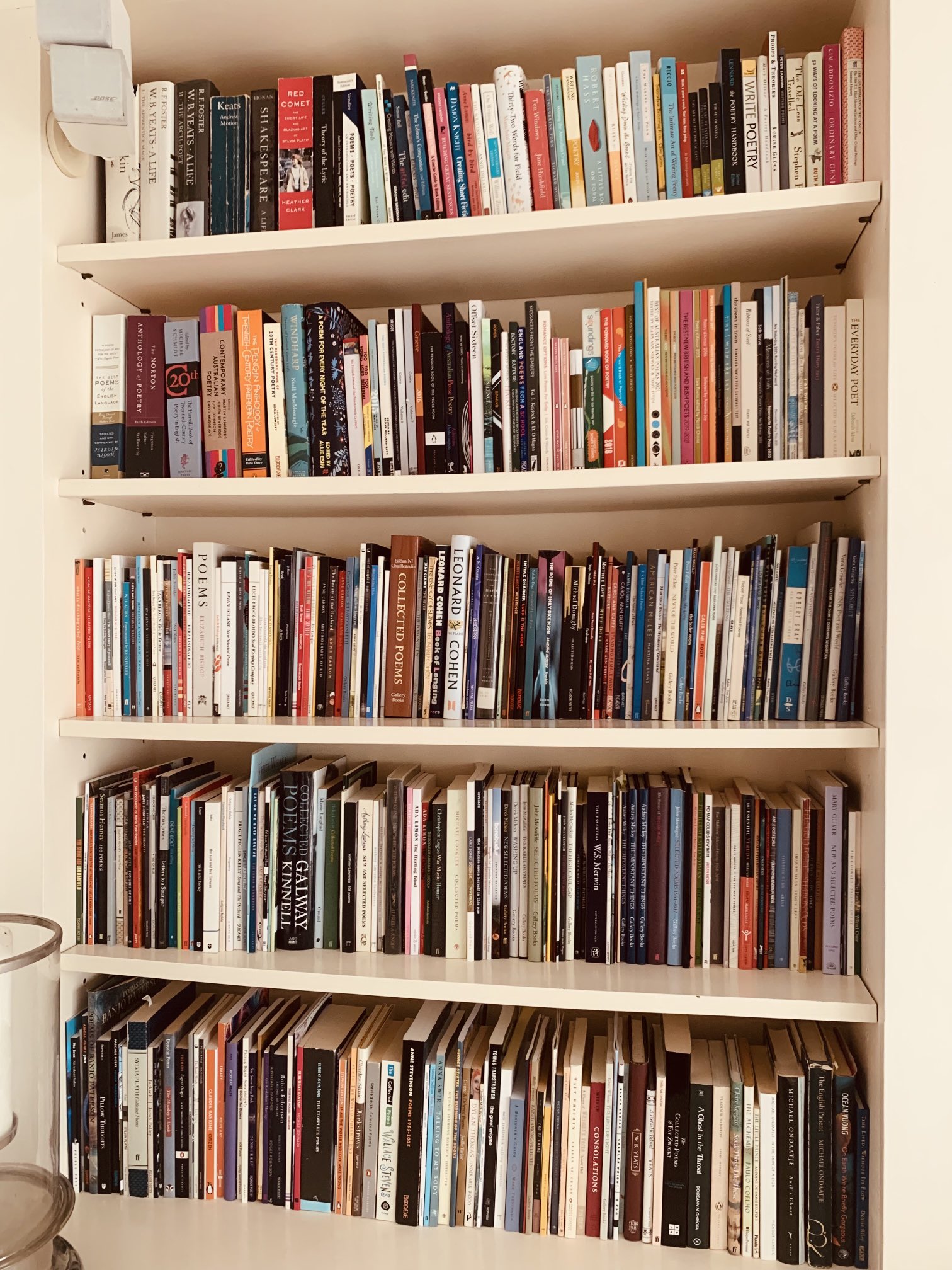 Audrey Molloy on Twitter "This morning’s project. Top shelf biography