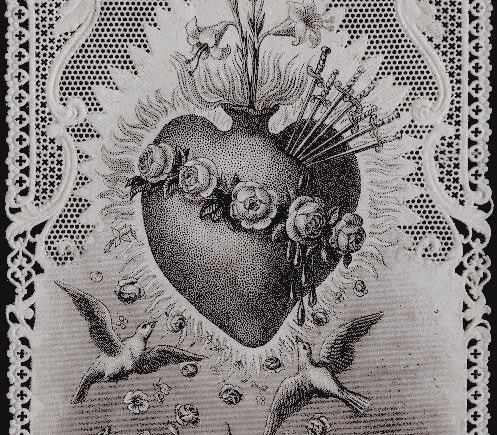 𝖎𝖌𝖓𝖔𝖗𝖊