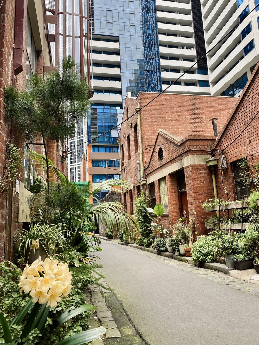 🌴 Cities are very green. I love how skyscrapers and nature are existing next to each other. Although being in the city center, you sometimes feel like being in the jungle. High tree density in the streets, green facades, trees on the roofs, many parks - and a lot of birds.