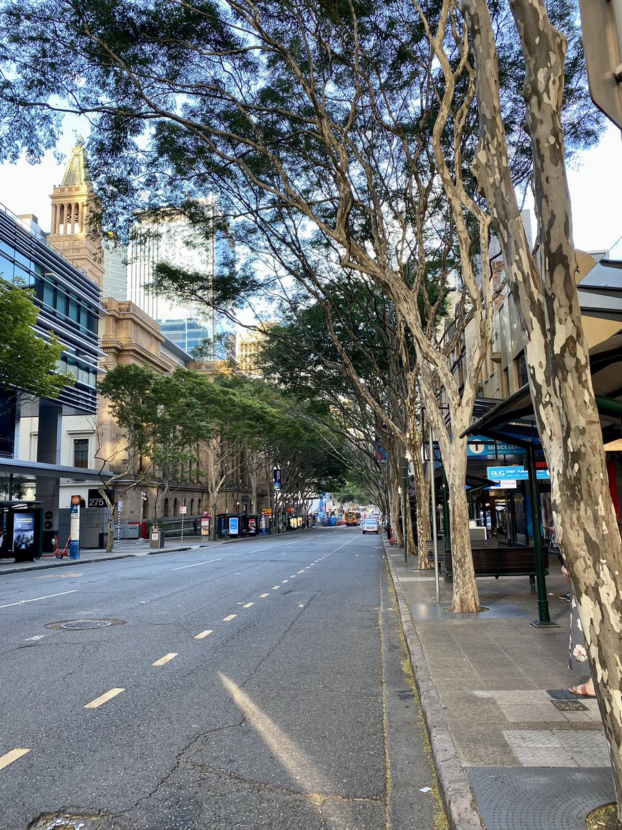 JehleUlrike's tweet photo. 🌴 Cities are very green. I love how skyscrapers and nature are existing next to each other. Although being in the city center, you sometimes feel like being in the jungle. High tree density in the streets, green facades, trees on the roofs, many parks - and a lot of birds. https://t.co/HFyzvy176F