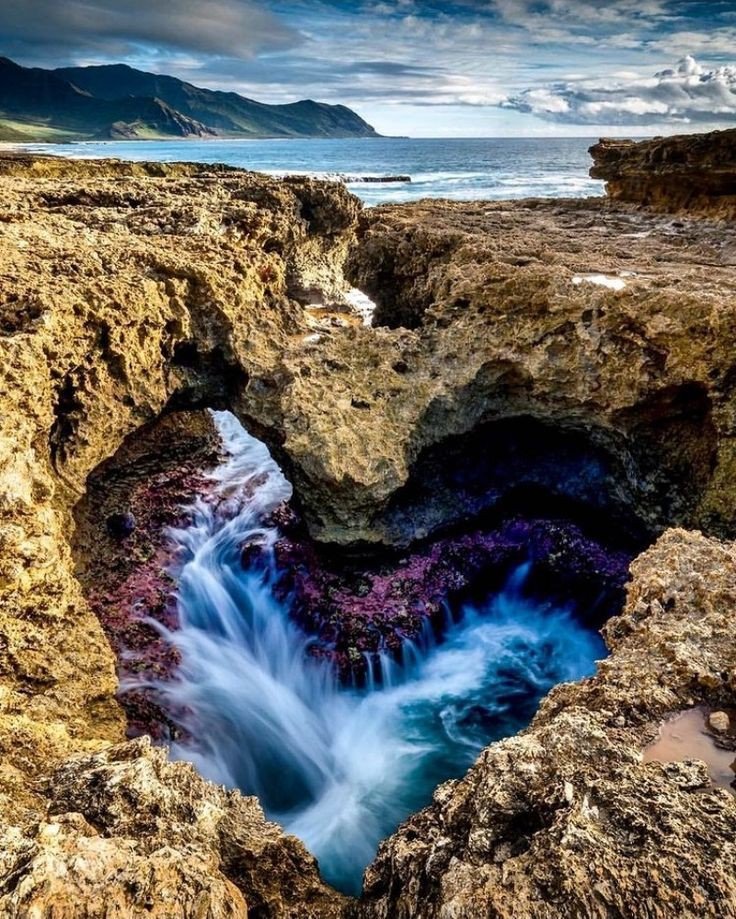 Arron_Tweets_'s tweet photo. Founded heart in Hawaii https://t.co/s70pgR1RID