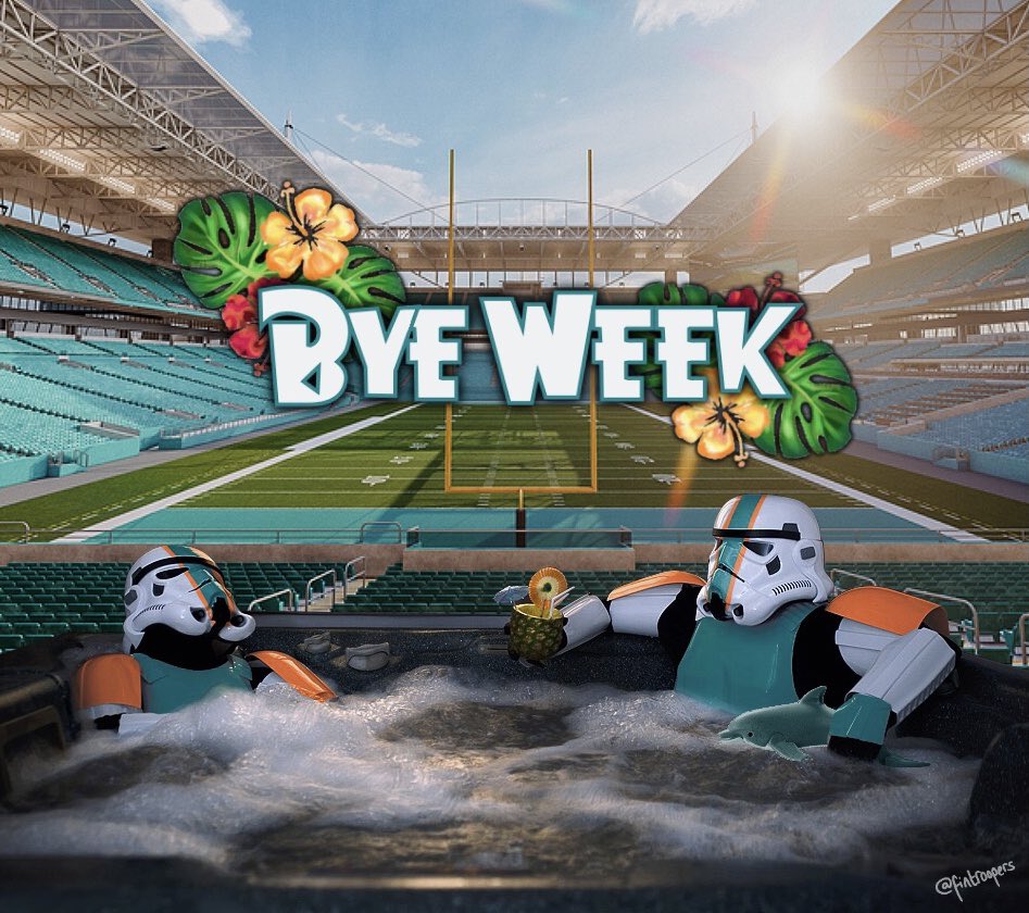 fintroopers's tweet photo. Just chillin’ at the top of the AFC East 😎

#FinsUp https://t.co/VY4qVyGViq