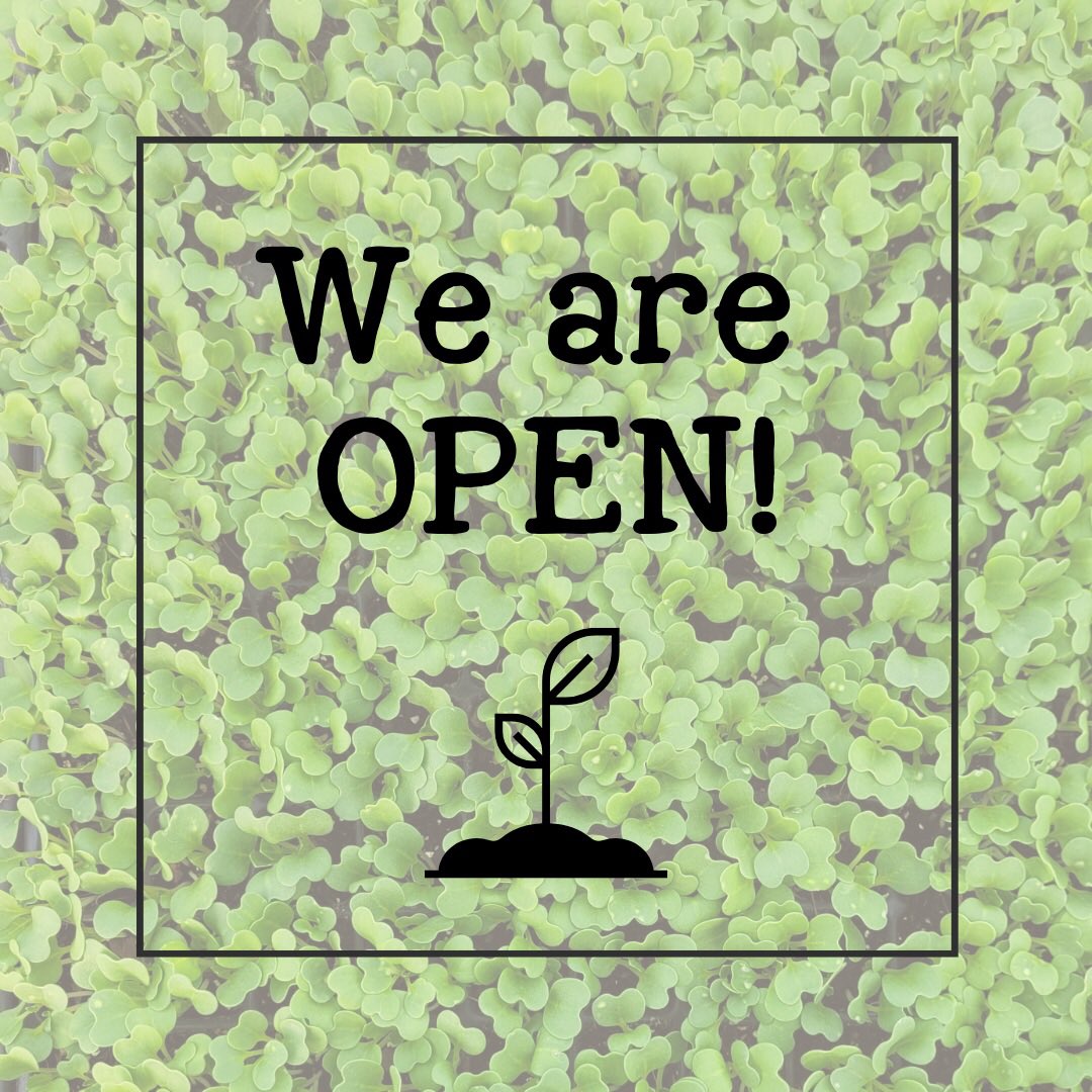 PropPlace's tweet image. We have opened for pre-order for the 2023 season! 🌱 Get your plants as soon as the growing begins and order today! 😄 #getgrowing