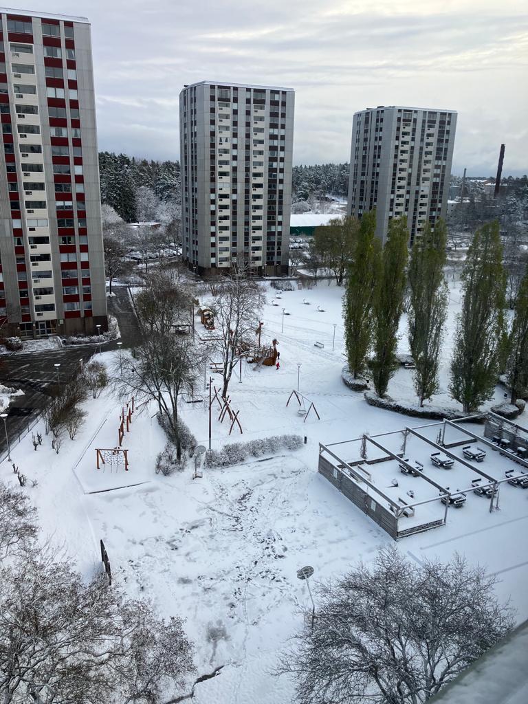 RadhikaRajgopal's tweet photo. Hello Winter! #FirstSnow https://t.co/IzTjOvNn3j