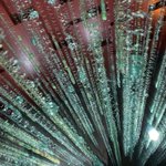 ツイートに含まれる画像