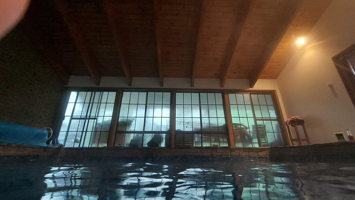 toddthepainter's tweet image. #Poolroof @DustyPee
Room with no views.
#SteamySunday