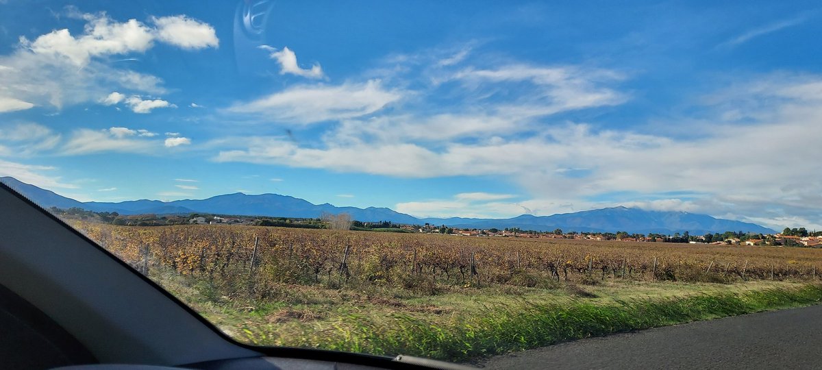 Préfet de la région de Kusterde tweet media