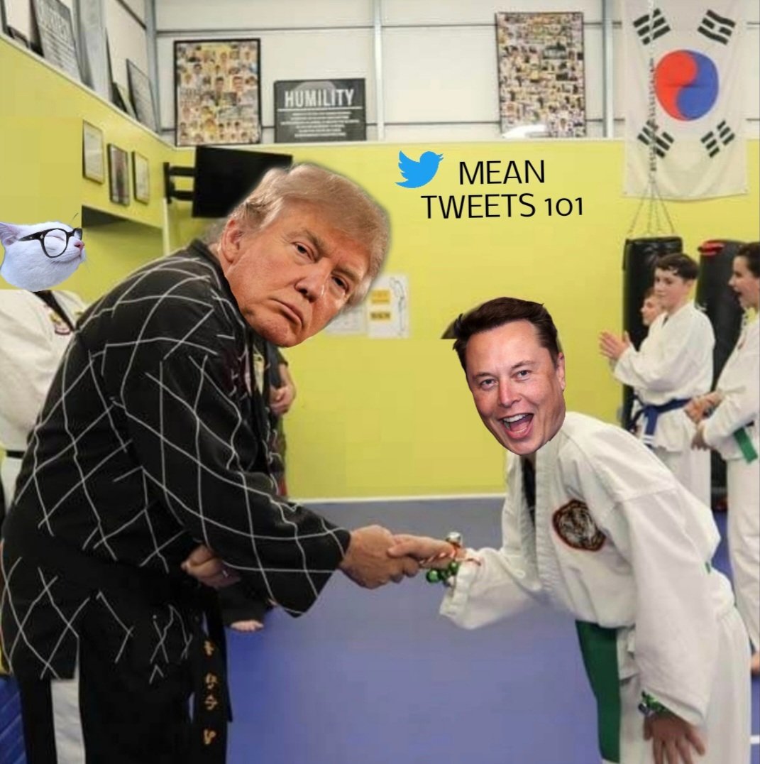 Tweet media one