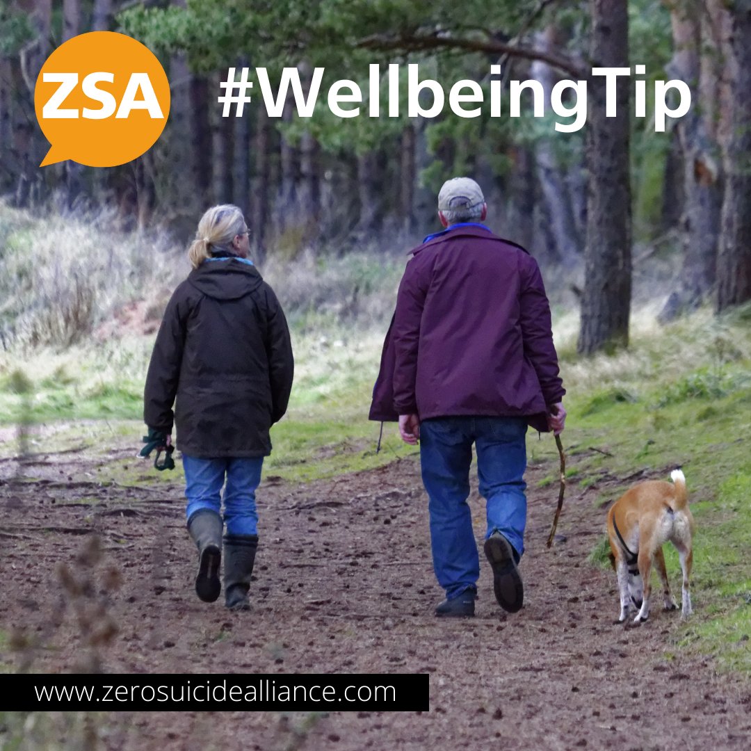 Zero Suicide Alliance tweet media