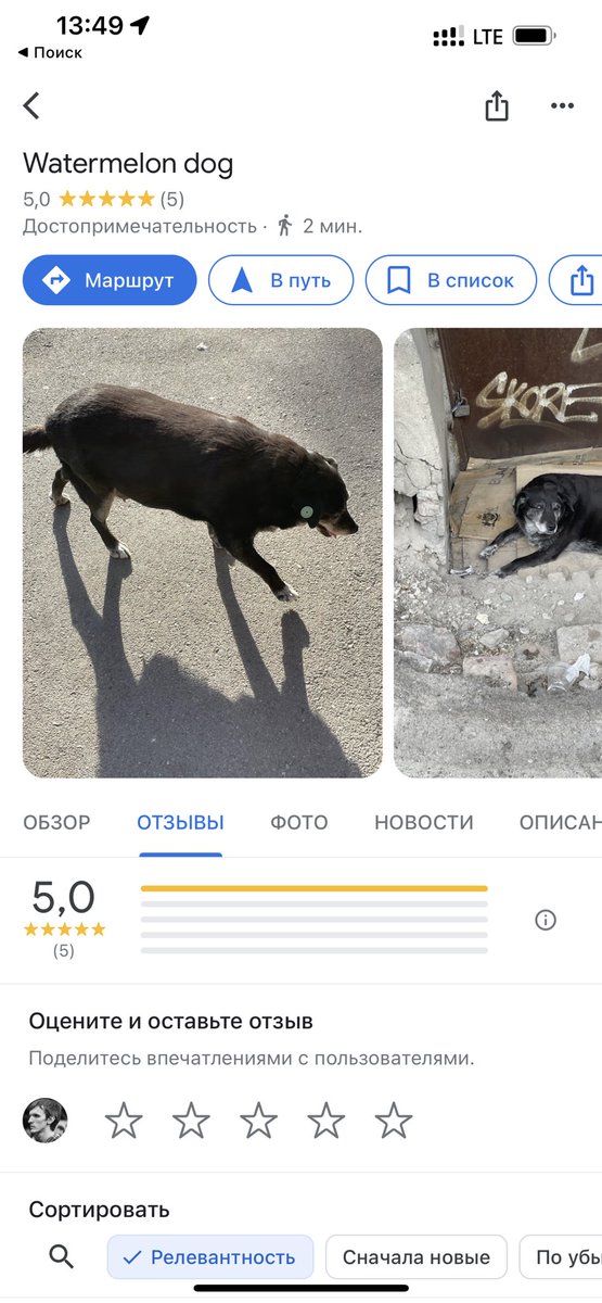 Egor Mikhaylov 🦤 tweet media