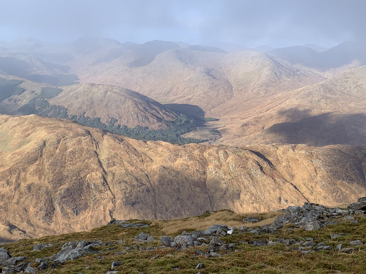 Sarah Abenheimer tweet media