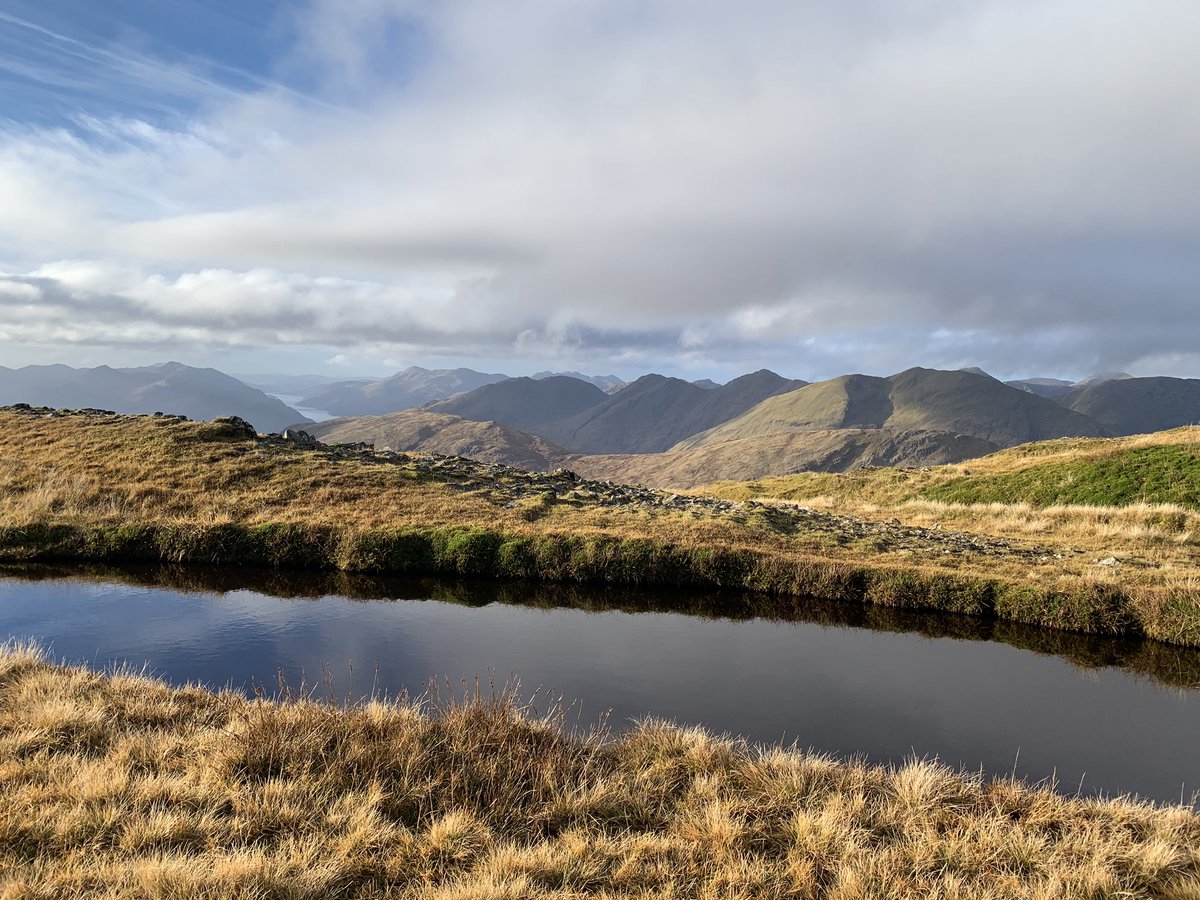 Sarah Abenheimer tweet media