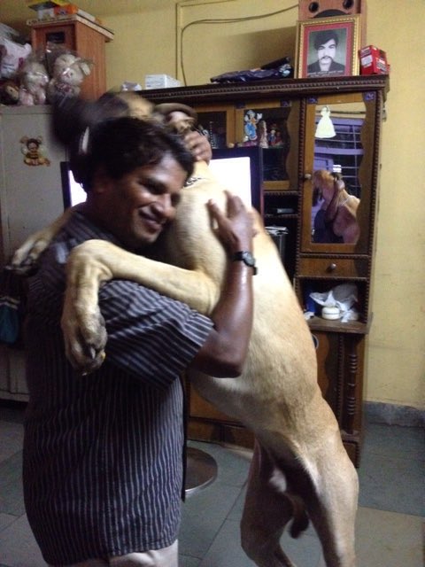 RUCHIPHONDA's tweet photo. ⁦@rajoo925gmailc1⁩ https://t.co/cibb1xO6Um
