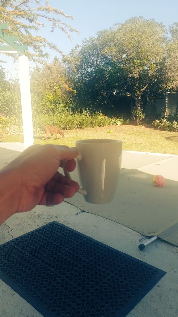 Kap 'n kappe koffa...😁

Dis sonnige sondag, jouhaan het innie water geval. Dink nie ons gaan hom kan uithaal nie....🕊⚰

Maar dit was 'n goeie season vir hom. Tyd nou vir bietjie kop af, klippe pak en aanhou draf🏃 fluit fluit