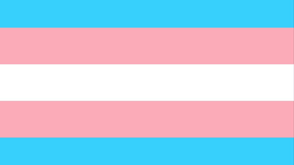 JOY949's tweet photo. Today marks Trans Day of Remembrance.  We honour the memory of the trans lives lost to acts of transphobia and discrimination.

Today we hold a day of gathering, togetherness, and community solidarity. We remember those we’ve lost, celebrate our strength in the face of adversity. https://t.co/3T1s0JPXg8