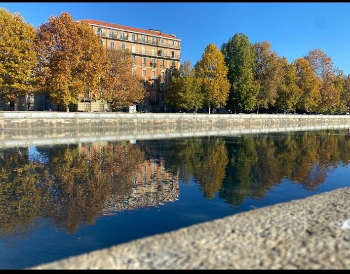 #domenicadautunno