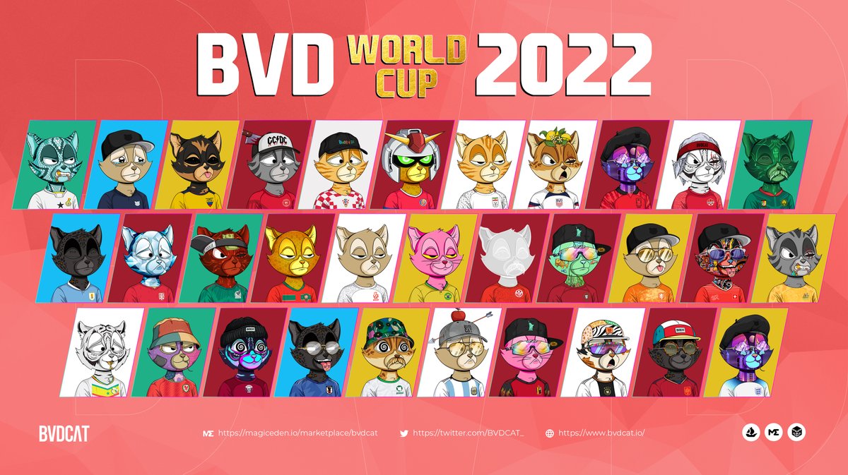 BVD tweet media