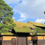 ツイートに含まれる画像