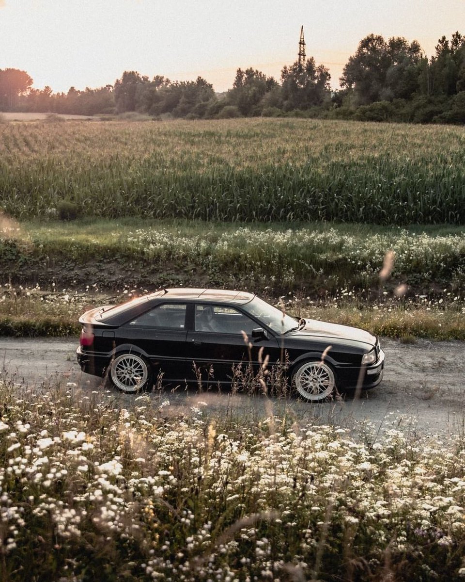 Audi_Europe's tweet photo. Black Sheep https://t.co/8x1NoE8iW5