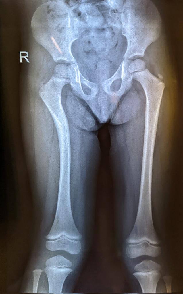 Orthopod tweet media