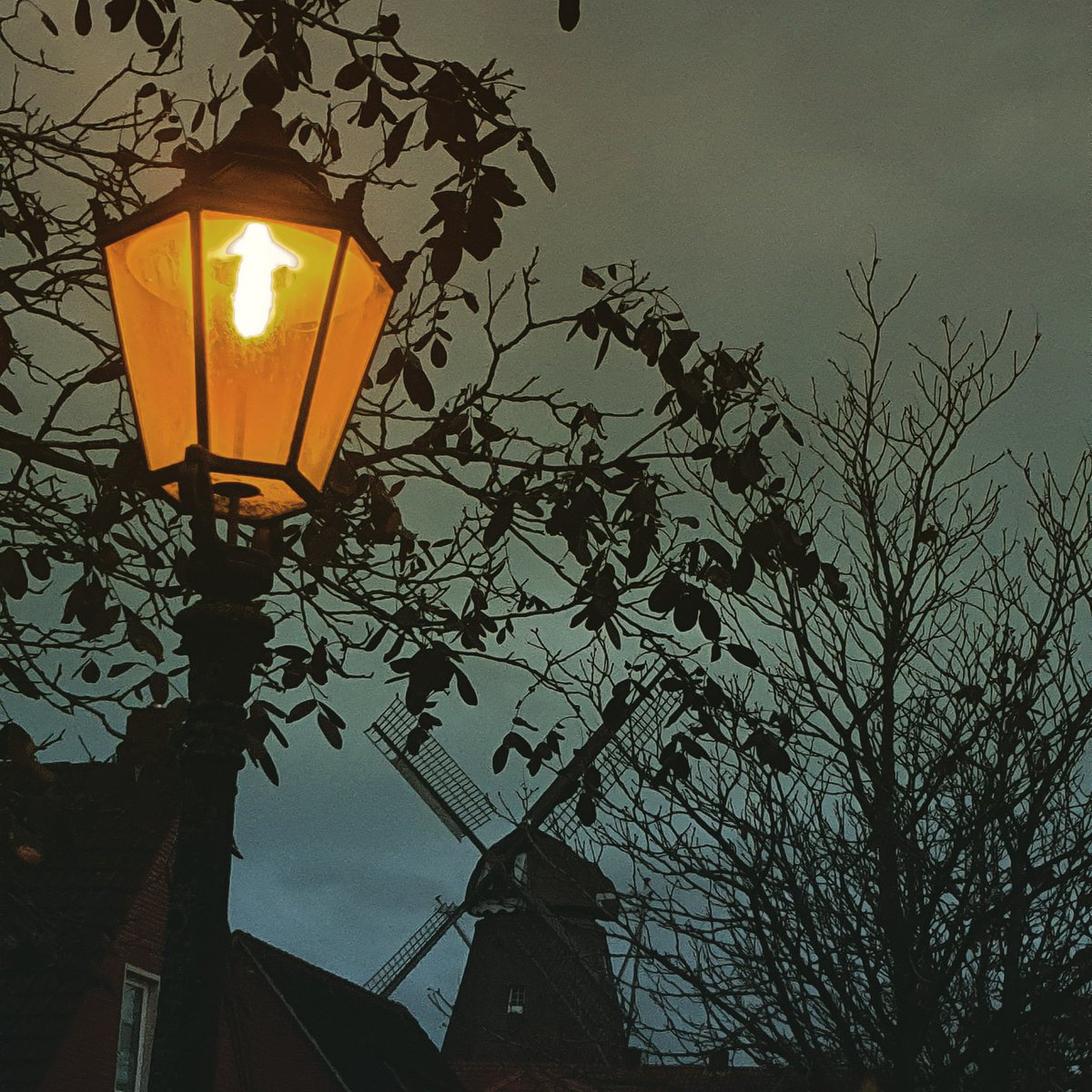 Guten Morgen 🥰 und einen angenehmen Sonntag 🍁🍂🌻🌺🌹