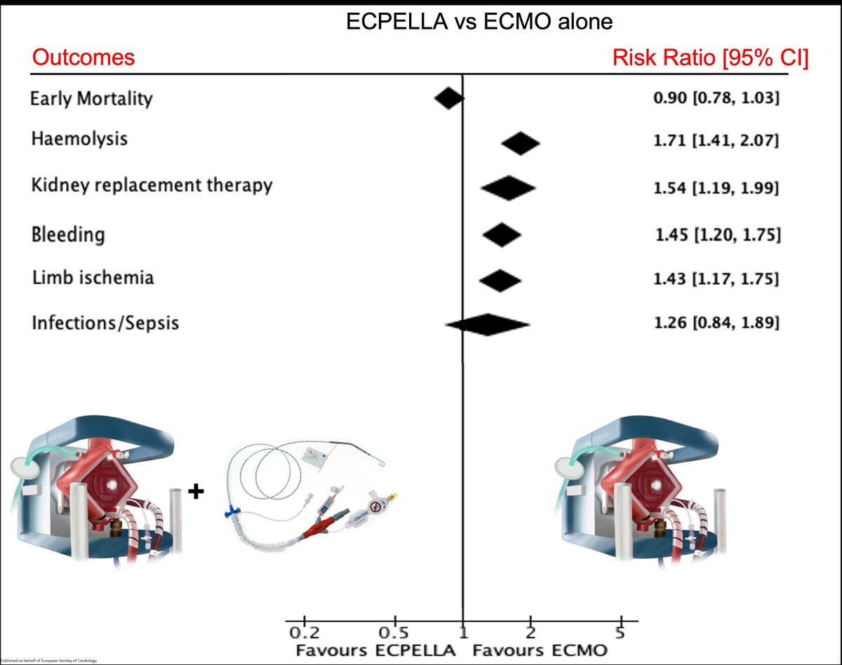 European Society of Cardiology Journals (@esc_journals) on Twitter photo ECPELLA versus #ECMO in #CardiogenicShock – do the potential benefits of this unloading strategy outweigh the increased complications? academic.oup.com/ehjqcco/advanc…
#EHJQCCO #CathLab <a href="/cpgale3/">Prof Chris P Gale</a> <a href="/diogoasantosfer/">Diogo Santos Ferreira</a> ECPELLA versus #ECMO in #CardiogenicShock – do the potential benefits of this unloading strategy outweigh the increased complications? academic.oup.com/ehjqcco/advanc…
#EHJQCCO #CathLab <a href="/cpgale3/">Prof Chris P Gale</a> <a href="/diogoasantosfer/">Diogo Santos Ferreira</a>