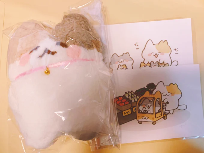【 】さんのところで購入させて頂きました。3体目の子です。覚えて頂いてて嬉しかったです(*^^*) 