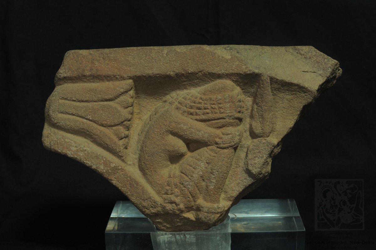 NMnewdelhi's tweet photo. 🖼 Plaque showing a Woman in Grief I Shunga I 2nd Century B.C I Stone I Sarnath, Distt. Varanasi, Uttar Pradesh
#NMcollection #ObjectOfTheDay https://t.co/fAxtw3LgmO
