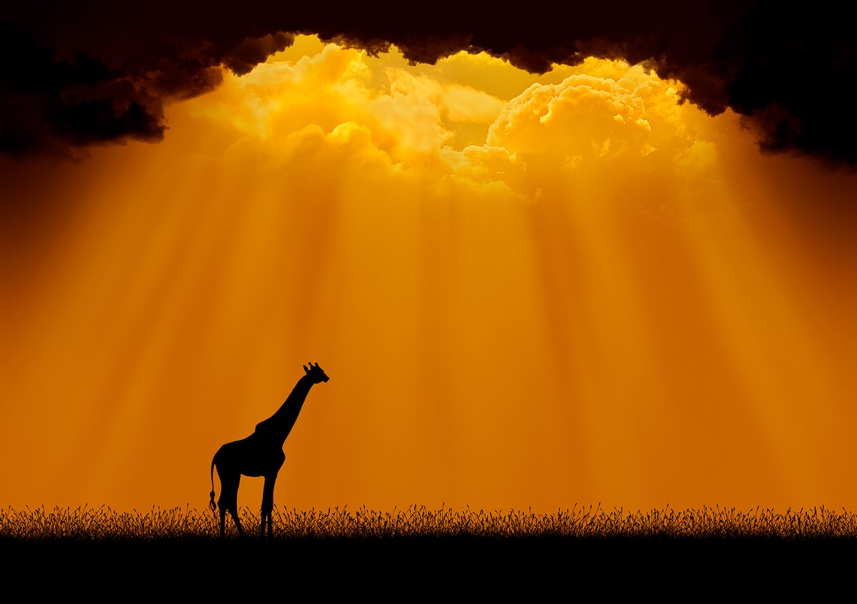 Hendro Soetrisno | hendro.eth tweet media